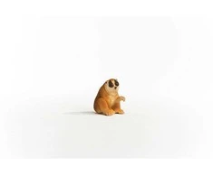Schleich figūrėlė Lėtasis loris