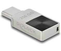 STICK KAB DELOCK Mini USB 5 Gbps USB-C Speicherstick 256GB - Metallgehuse