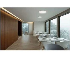 Synergy21 Synergy 21 LED Rundleuchte Theia IP54 30W dim