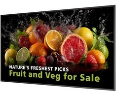 Monitorius PHILIPS 65" UHD 24/7 600 NITS ANDROID SOC WIFI
