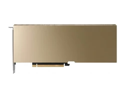 Vaizdo plokštė PNY NVIDIA RTX PRO 4500 Blackwell Server Edition - Passive PCIe 32GB
