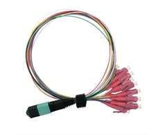 Value VALUE MPO Fanout Kabelis 50/125m OM4, MPO/12x LC, violetinė, 2 m