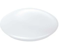 WOOX R5111 išmanusis lubų šviestuvas
