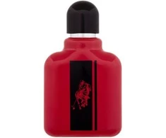 A-Inspiration Sport Raudona EDP parfumuotas vanduo unisex, 100 ml
