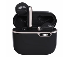 ART BT Ausinės With HQ Mikrofonas TWS USB-C juodas