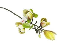 Artflow Dirbtinė magnolija 68 cm, balta