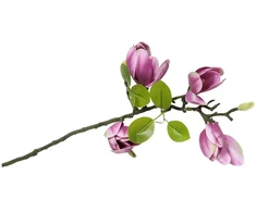 Artflow Dirbtinė magnolija 68 cm, violetinė