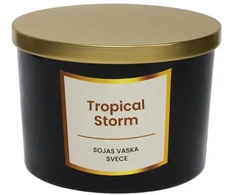 Artflow Sojų vaško žvakė 400g, Tropinė audra