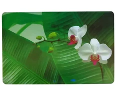 Asi Collection Placemat 43.5x28cm orchid