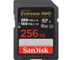 „SanDisk SDSDXEP-256G-GN4IN“ atminties kortelė, 256 GB, SDXC UHS-II, 10 klasė