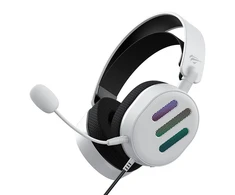 Žaidimų ausinės Havit H2038U RGB (balta)