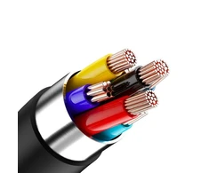 Beline ausinės į ausis įkišamos USB-C SK193 juodos spalvos