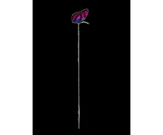 Besk Sodo dekoracija Drugelis dvigubas 7cm plastikinis