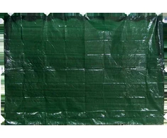 Besk Tentas sieninis 195x290cm žalias