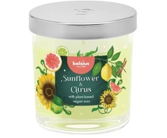 Žvakė, aromatinė Bolsius Saulėgąžų ir citrusų, 25 h