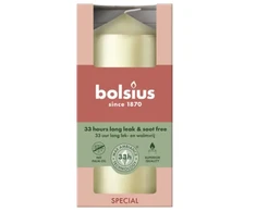Bolsius Candle cylinder Ø120x58mm sidabrinis