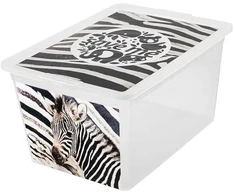 Branq Laikymo dėžė X box Deco Zebra 30L Skaidri