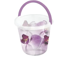 Branq Kibiras 10L, Orchidėjos