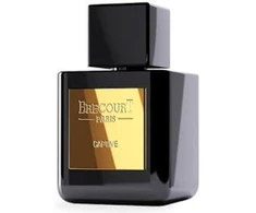 Brecourt Captive EDP 100 ml (unisex)