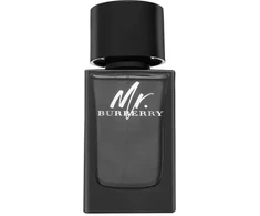 Burberry Mr. Burberry (EDP) kvapusis vanduo vyrams 100 ml