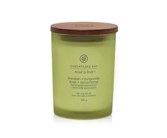 Chesapeake Bay Candle vidutinė žvakė – Awaken &amp; Invigorate (Lemongrass Eucalyptus)