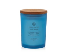 Chesapeake Bay Candle vidutinė žvakė – Confidence &amp; Freedom (Oak Moss Amber)
