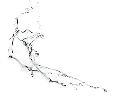 Clarins Eau Des Jardins Clear (EF) Eau Fraiche for Women 100 ml