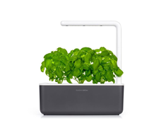Išmanus namų sodas Click &amp; Grow Smart Indoor Garden 3, pilkas