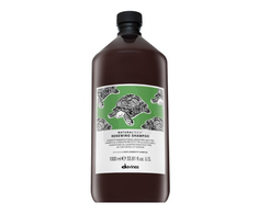 Davines Natural Tech Renewing Šampūnas atnaujinantis šampūnas, 1000 ml