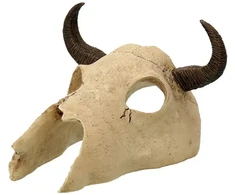 Dekors terārijam / galvaskauss : Repti Planet Buffalo skull 12,5x11,8x8cm