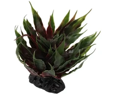 Dekors terārijam : Repti Planet Agave succulent žalias, 18 cm