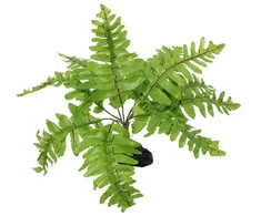 Dekors terārijam : Repti Planet Nephrolepis fern, 20 cm