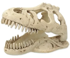 Dekors terārijam : Repti Planet T:REX skull 13,3x8,5x9cm