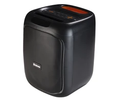 Garsiakalbis imprezowy BT Denver BPS-165 galingumas max 200W