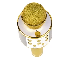 Mikrofonas su głośnikiem BT do karaoke Denver KMS-20 auksinė