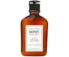 Depot, 100 Plaukų valymo šampūnas Nr. 101, Botaninis kompleksas, Normalizuojantis, 250 ml