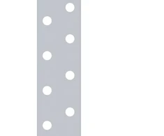 DMX Montāžas lenta TM1/10 25x1.5mm šaura 1m