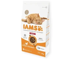 IAMS sausas pašaras naminėms katėms su vištiena, 2kg