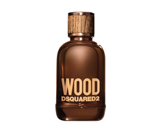 Dsquared2 Wood for men testeris 100 ml