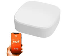 Išmanusis bevielis patalpos vandens nuotėkio jutiklis, ZigBee, baltas, TUYA, Smart Life, Extralink