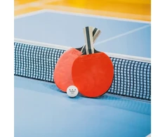FDTWLV TABLE TENNIS BALL Baltas