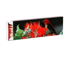 Flamax Degtukai 20 cm 55 vnt. dėžutėje