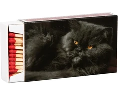 Flamax Matches 10cm 55 pcs. in box