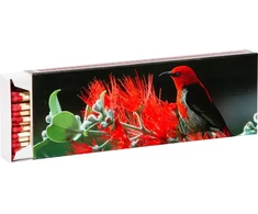 Flamax Matches 20cm 55pcs
