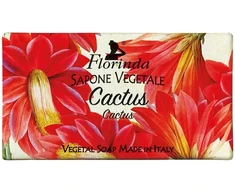 Florinda, Cactus, Vegan, Cleansing &amp; Hydrating, Scented Soap Bar , 100 g