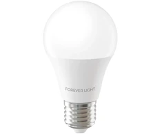 „Telforceone Forever Light“ LED lemputė E27 A55 4W 480lm 3000K E klasė