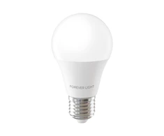 Telforceone Forever Light LED Bulb E27 A55 4W 480lm 3000K class E