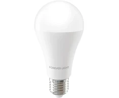 „Telforceone Forever Light“ LED lemputė E27 A65 17W 2100lm 3000K E klasė