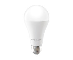 Telforceone Forever Light LED Bulb E27 A65 17W 2100lm 4000K class E
