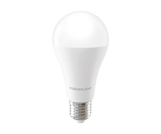 „Telforceone Forever Light“ LED lemputė E27 A65 17W 2100lm 3000K E klasė